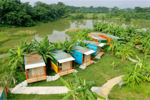 新春采摘，田園趣游 金穗與九龍?zhí)渡鷳B(tài)園兩日樂(lè)活指南