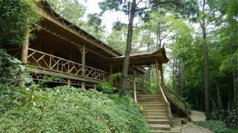 蘇州九龍?zhí)讹L(fēng)景區(qū)與九龍?zhí)渡鷳B(tài)園 自然與生態(tài)的雙重奏